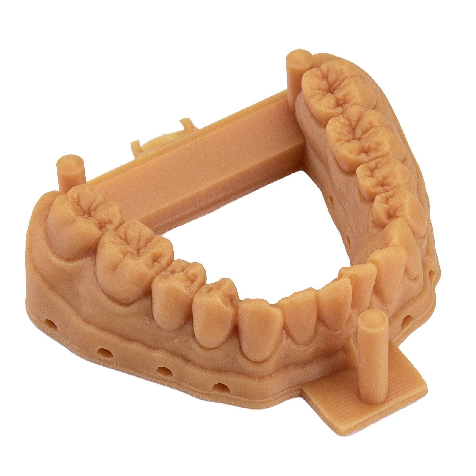 Dental Orthodontic UV Reis-Orange -Elegoo